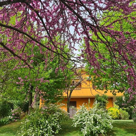 Il Parco Holiday - Locazione Turistica Fonte Nuova ภายนอก รูปภาพ