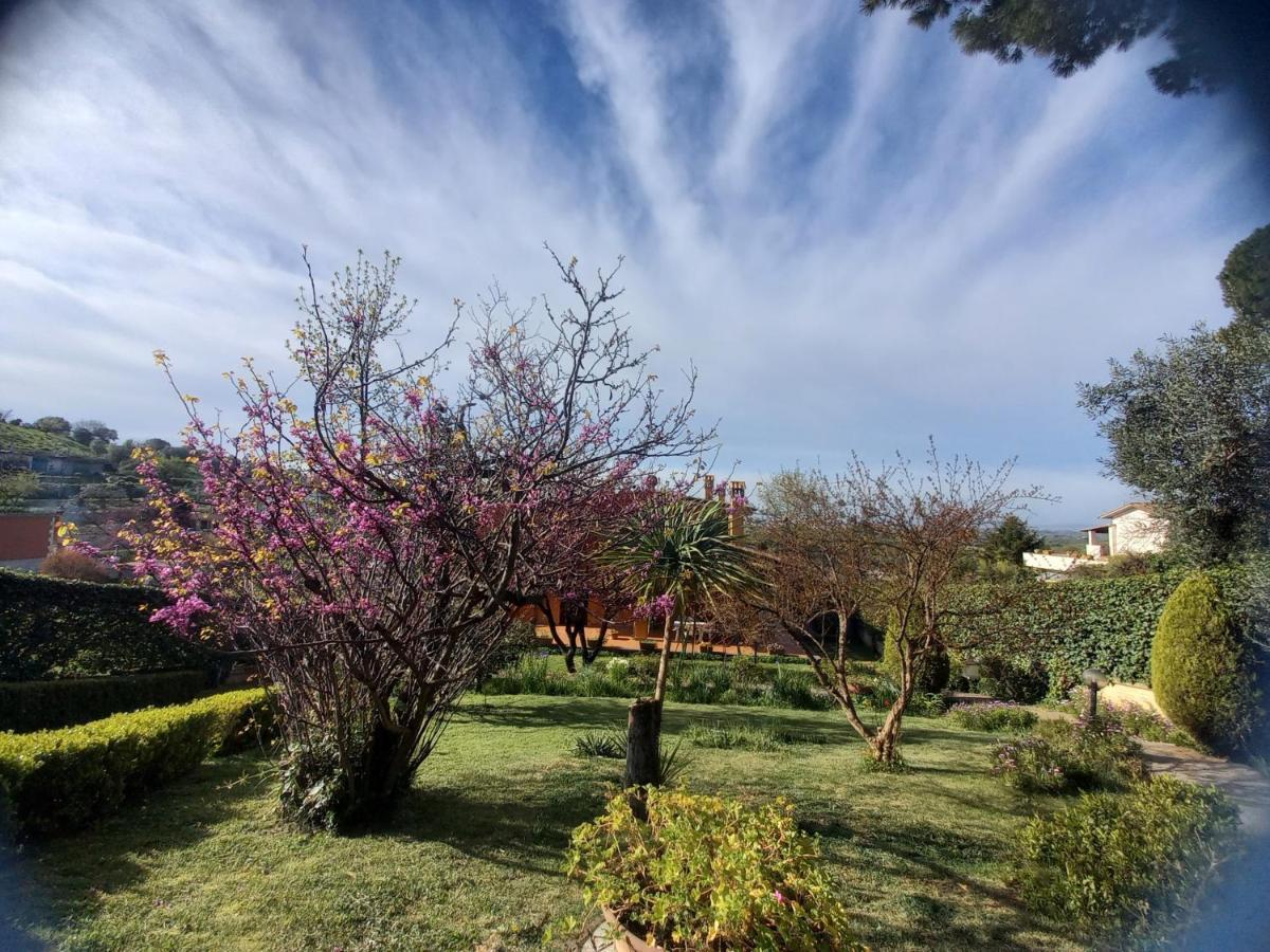 Il Parco Holiday - Locazione Turistica Fonte Nuova ภายนอก รูปภาพ