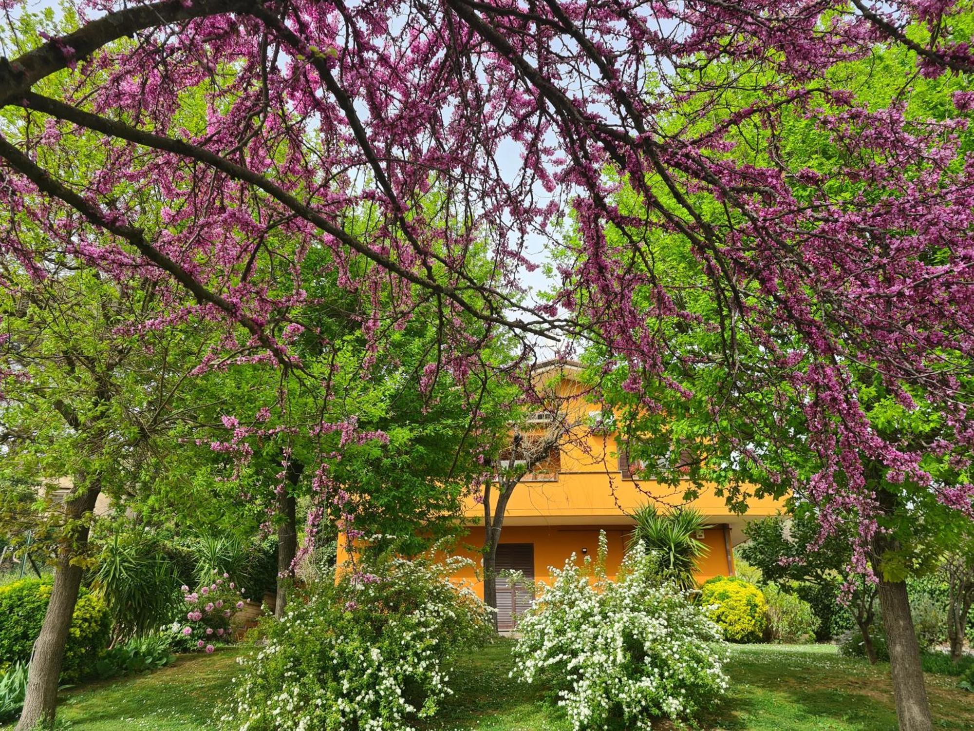 Il Parco Holiday - Locazione Turistica Fonte Nuova ภายนอก รูปภาพ