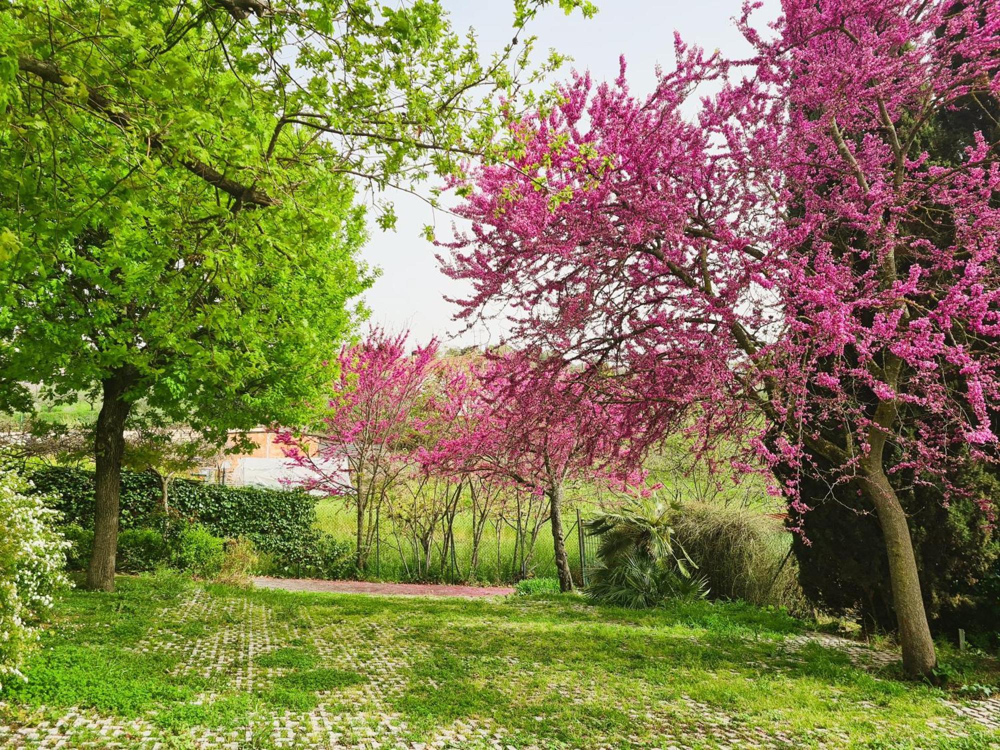 Il Parco Holiday - Locazione Turistica Fonte Nuova ภายนอก รูปภาพ